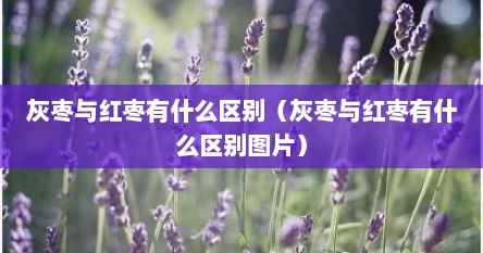 灰枣与红枣有什么区别（灰枣与红枣有什么区别图片）