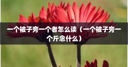 一个被子旁一个者怎么读（一个被子旁一个斤念什么）