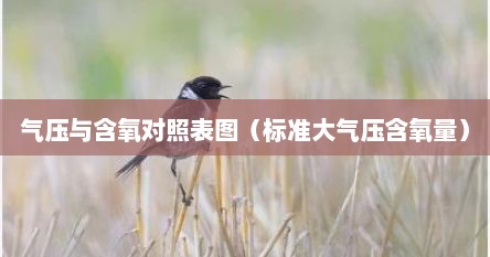 气压与含氧对照表图（标准大气压含氧量）