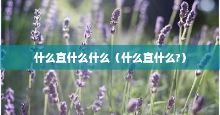 什么直什么什么（什么直什么?）