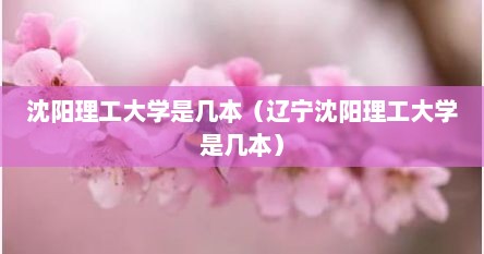 沈阳理工大学是几本（辽宁沈阳理工大学是几本）