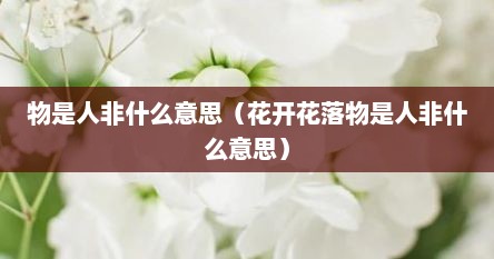 花开花落,物是人非（物是人非花又开的意思）