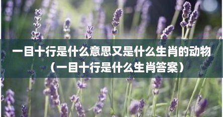 一目十行是什么意思又是什么生肖的动物(一目十行是什么生肖答案) 一目十行是什么意思又是什么生肖的动物(一目十行是什么生肖答案)