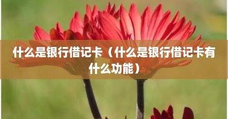 什么是银行借记卡（什么是银行借记卡有什么功能）