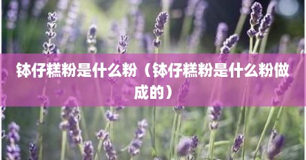 钵仔糕粉是什么粉（钵仔糕粉是什么粉做成的）