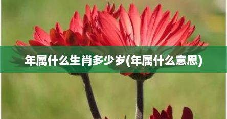 年属什么生肖多少岁(年属什么意思)