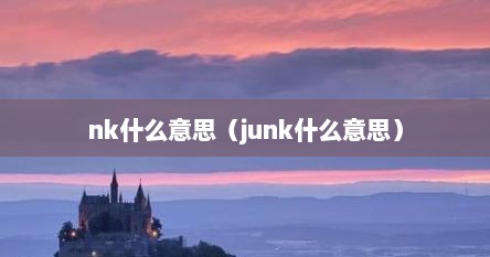 nk什么意思（junk什么意思）