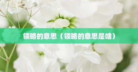 领略的意思（领略的意思是啥）