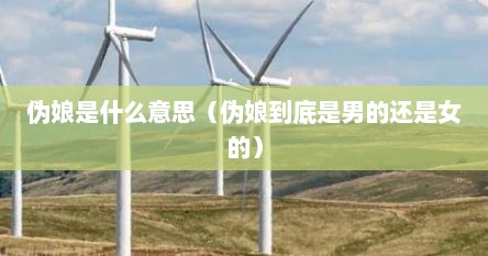 伪娘是什么意思（伪娘到底是男的还是女的）