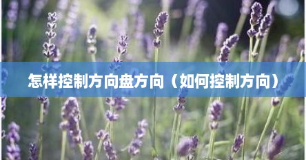 怎样控制方向盘方向（如何控制方向）