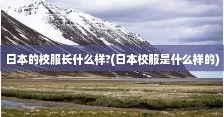 日本的校服长什么样?(日本校服是什么样的)