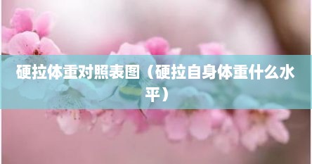 硬拉体重对照表图（硬拉自身体重什么水平）