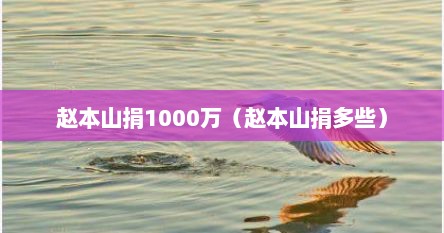 赵本山捐1000万（赵本山捐多些）