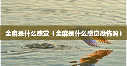 全麻是什么感觉（全麻是什么感觉恐怖吗）