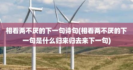 相看两不厌的下一句诗句(相看两不厌的下一句是什么归来归去来下一句)