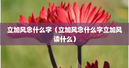 立加风念什么字（立加风念什么字立加风读什么）