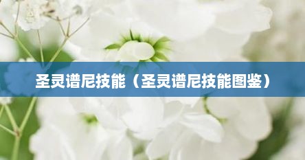 圣灵谱尼技能（圣灵谱尼技能图鉴）