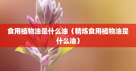 食用植物油是什么油（精炼食用植物油是什么油）