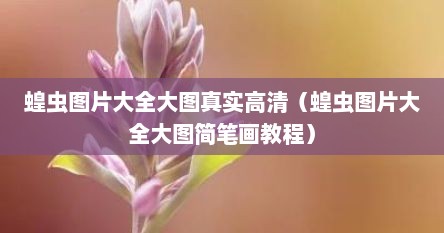 蝗虫图片大全大图真实高清（蝗虫图片大全大图简笔画教程）