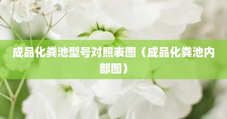 成品化粪池型号对照表图（成品化粪池内部图）
