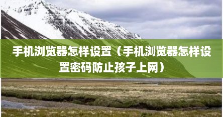 手机浏览器怎样设置（手机浏览器怎样设置密码防止孩子上网）