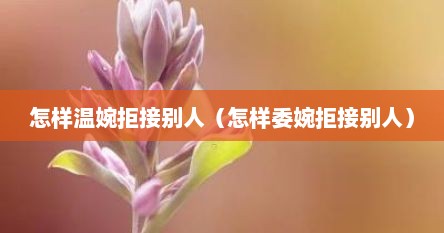 怎样温婉拒接别人（怎样委婉拒接别人）