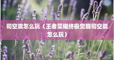 司空震怎么玩（王者荣耀终极觉醒司空震怎么玩）