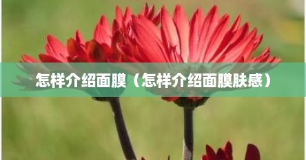 怎样介绍面膜（怎样介绍面膜肤感）
