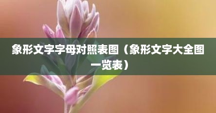 象形文字字母对照表图（象形文字大全图 一览表）