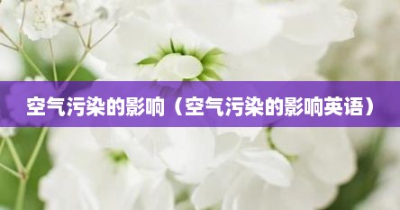 空气污染的主要来源英语作文（空气污染对人体的危害和影响）