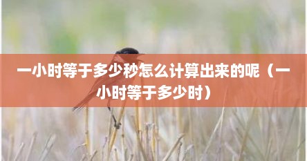 一小时等于多少秒怎么计算出来的呢（一小时等于多少时）