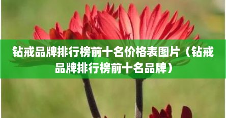 钻戒品牌排行榜前十名价格表图片（钻戒品牌排行榜前十名品牌）