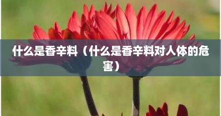 什么是香辛料（什么是香辛料对人体的危害）