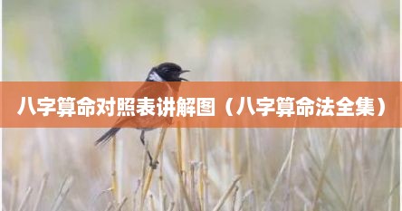 八字算命对照表讲解图（八字算命法全集）