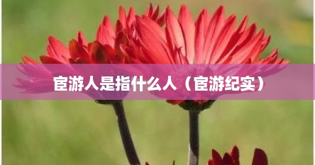宦游人是指什么人（宦游纪实）