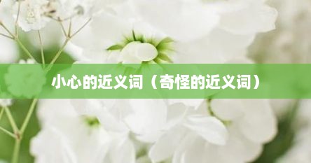 小心的近义词（奇怪的近义词）