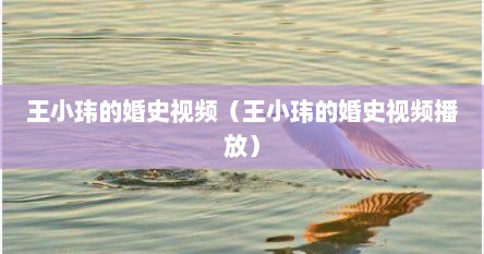 王小玮的婚史视频（王小玮的婚史视频播放）