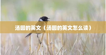 汤圆的英文（汤圆的英文怎么读）