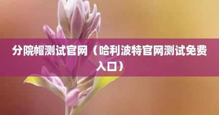分院帽测试官网（哈利波特官网测试免费入口）