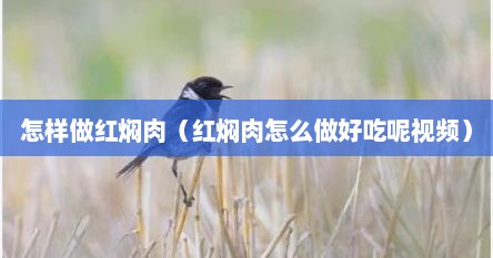 怎样做红焖肉（红焖肉怎么做好吃呢视频）