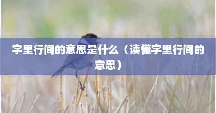 字里行间的意思是什么（读懂字里行间的意思）