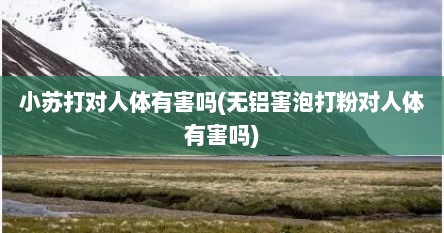 小苏打对人体有害吗(无铝害泡打粉对人体有害吗)