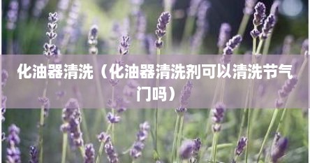 化油器清洗（化油器清洗剂可以清洗节气门吗）