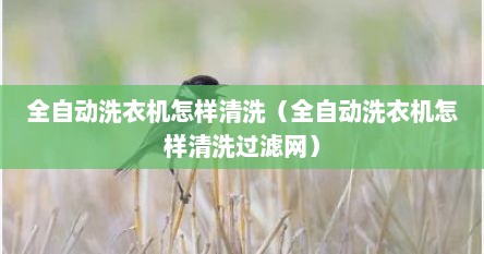 全自动洗衣机怎样清洗（全自动洗衣机怎样清洗过滤网）