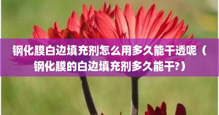 钢化膜白边填充剂怎么用多久能干透呢（钢化膜的白边填充剂多久能干?）