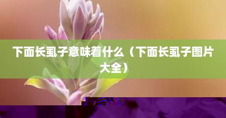 下面长虱子意味着什么（下面长虱子图片大全）