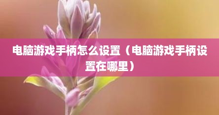 电脑游戏手柄怎么设置（电脑游戏手柄设置在哪里）