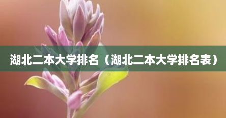 湖北二本大学排名（湖北二本大学排名表）