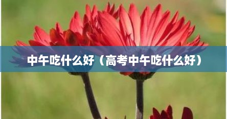 中午吃什么好（高考中午吃什么好）