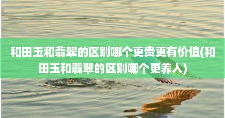 和田玉和翡翠的区别哪个更贵更有价值(和田玉和翡翠的区别哪个更养人)
